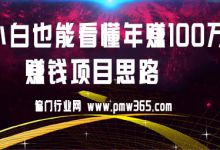 小白也能看懂年赚100万的赚钱项目思路