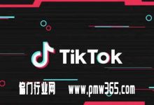 tiktok不会安装？装一次10块钱，这信息差赚死人啊！