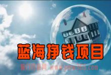  释放一个蓝海挣钱项目，两口子做到月入6万+