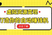 深度解密：两种类型的淘宝虚拟项目！