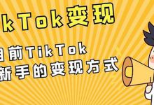 抖音TikTok海外版，TikTok项目变现思路