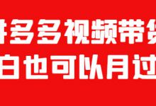 快速盈利项目,拼多多视频搬运带货,月入过万