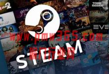 国内外信息差项目，Steam游戏搬砖赚钱