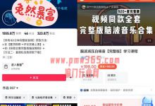 音乐疗愈项目,网络偏门引流变现日赚1000