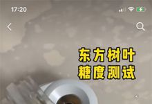 健康养生粉变现的项目搞钱方法