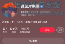搭子社交捞偏门赚钱，一单9.9-599