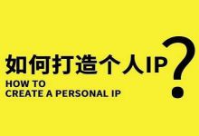 IP引流技术打造超强变现项目