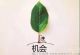 5G时代会有什么样的风口,互联网捞金怎样发展项目