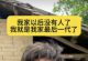 拿捏住人性，单条爆款视频收入几万