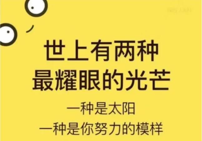 如何分析一个互联网项目的可行性-偏门行业网