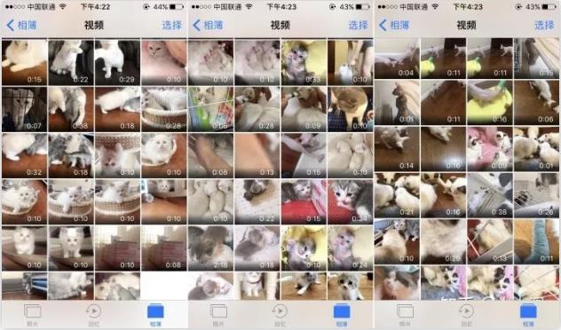 短视频云养猫，在家就能轻松赚钱-偏门行业网