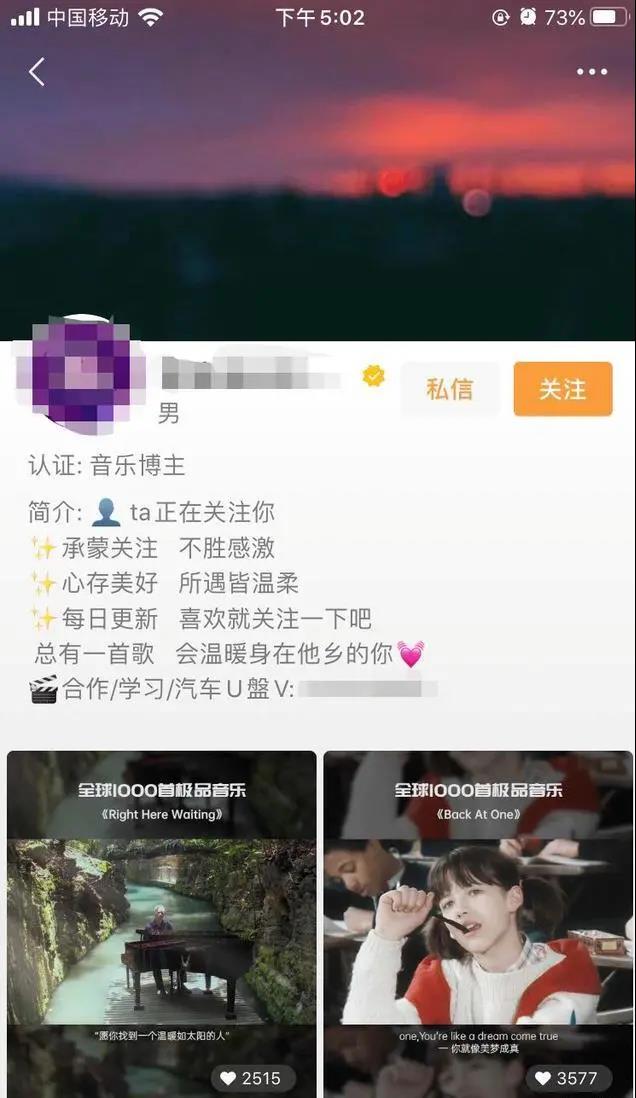 视频号音乐U盘月入6w的赚钱玩法拆解，速看-偏门行业网