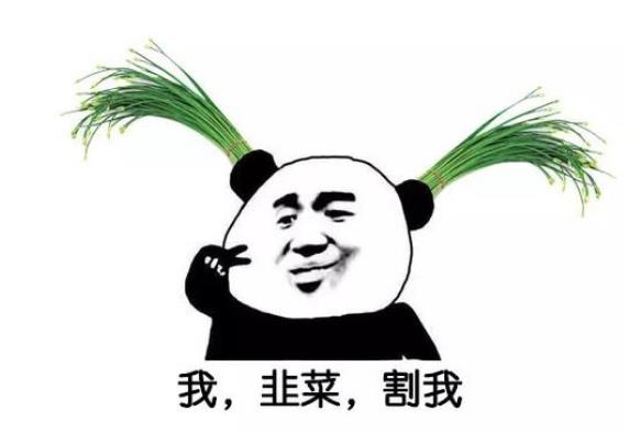 我是韭菜，推荐几个赚钱项目给我吧！-偏门行业网