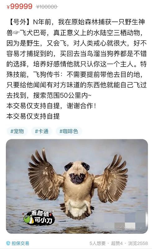 原味商品大揭秘：我在闲鱼上发现了一些“特殊商品”-偏门行业网