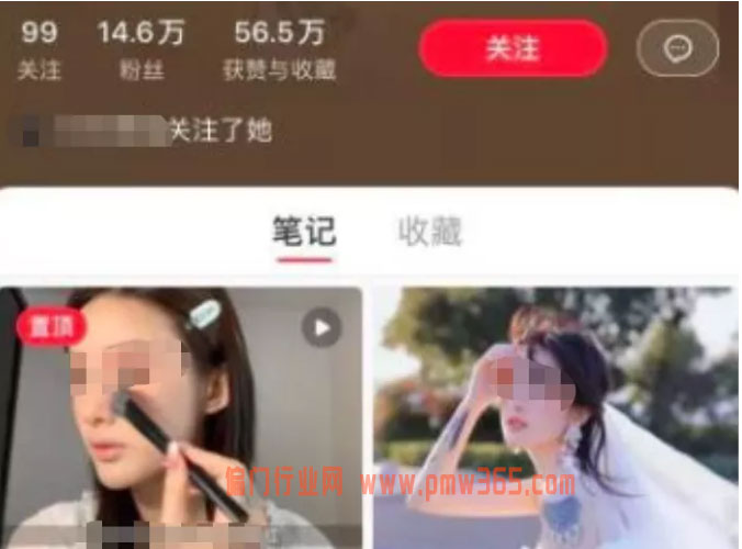 普通人操作自媒体派单也能月入过万-偏门行业网