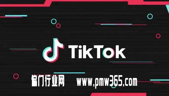 tiktok不会安装？装一次10块钱，这信息差赚死人啊！-偏门行业网