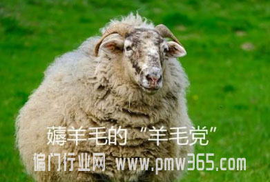 揭秘羊毛党是如何薅羊毛赚大钱-偏门行业网