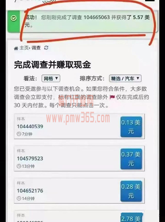 国外美金问卷调查项目-偏门行业网