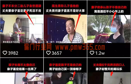 亲子鉴定赚钱项目，该如何在网上引流？-偏门行业网