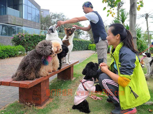 懒人赚钱项目：分享几个适合懒人赚钱的生意-偏门行业网