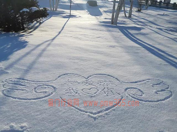 0成本虚拟资源项目——“雪地代写”，绝对香-偏门行业网