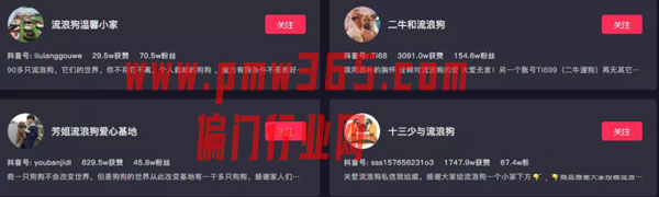 流浪狗爱心偏门项目，半个月30000+，只做揭秘！-偏门行业网