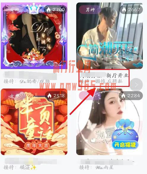 适合宝妈的语音挂机项目,语音聊天项目，日收益500+-偏门行业网