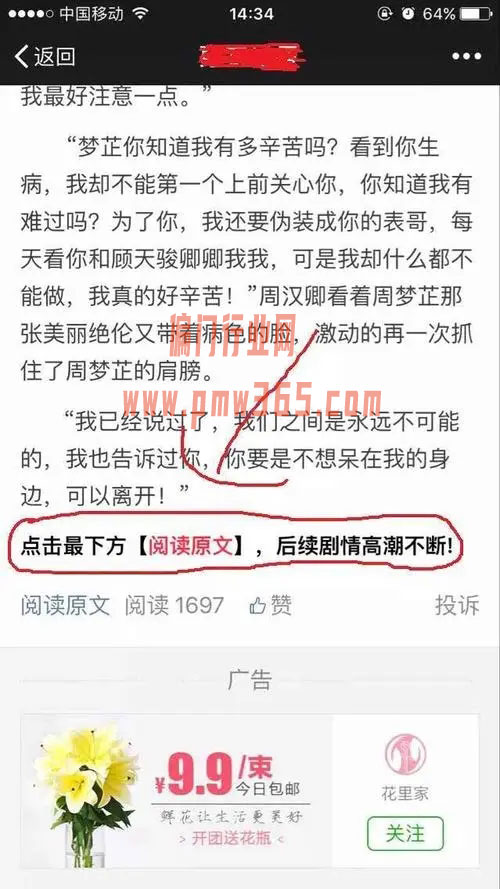 小说派单实现信息差赚钱-偏门行业网