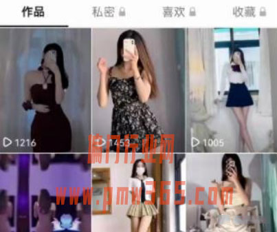 抖音模特写真项目，美女图片项目操作方法-偏门行业网