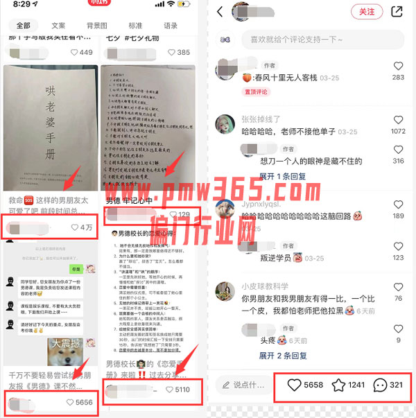 男德女德培训，小红书虚拟服务项目-偏门行业网