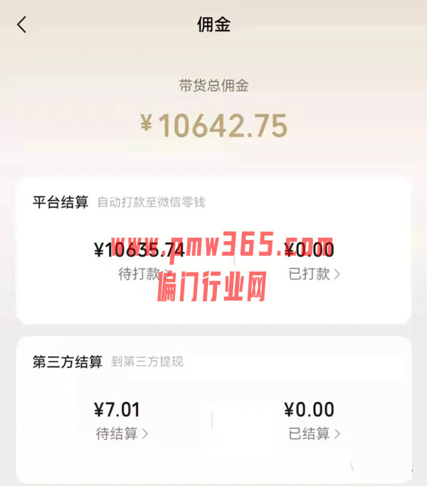 一个红利期项目，俄罗斯短视频带货项目-偏门行业网