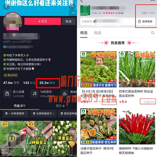 种草号项目，这么做一个月下来赚的比上班多！-偏门行业网