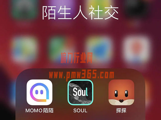 soul上面怎么引流变现赚钱-偏门行业网