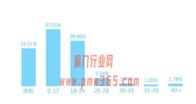 B站细分定位领域偷偷搞钱玩法-偏门行业网