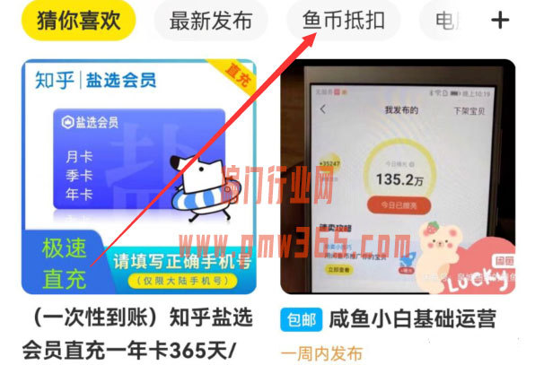 闲鱼币倒卖项目，人人可做，日入100+-偏门行业网