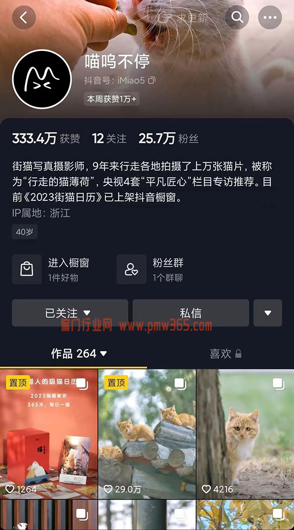 纯粹的项目和服务，可持续性的挣钱-偏门行业网