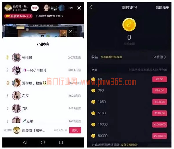 抖音娱乐赚音浪，另类偏门搞钱玩法-偏门行业网