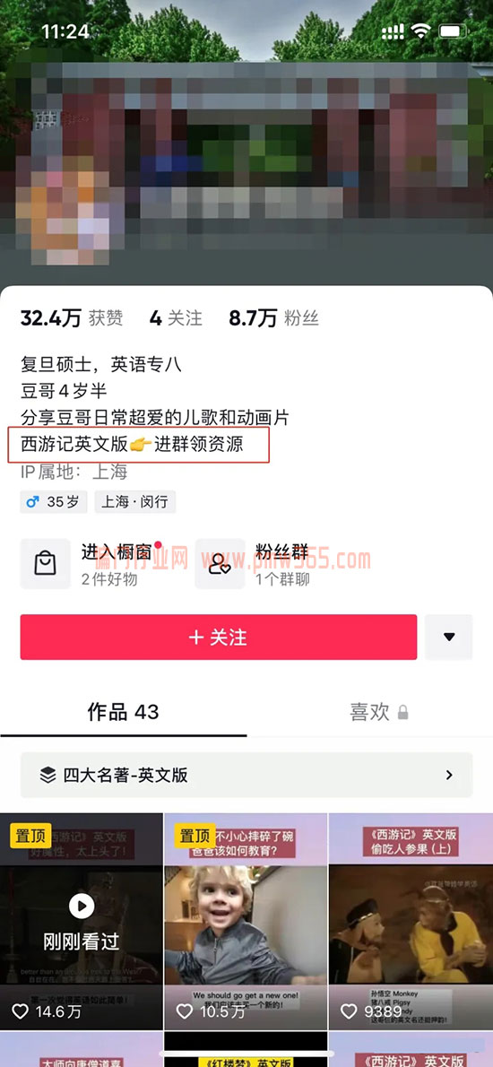 抖音另类偏门项目，英文版西游记引流变现-偏门行业网