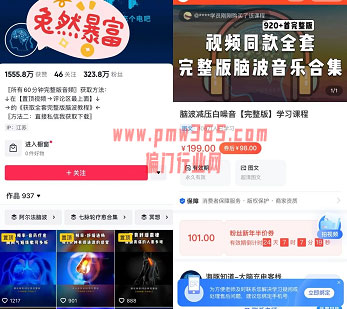 音乐疗愈项目,网络偏门引流变现日赚1000-偏门行业网