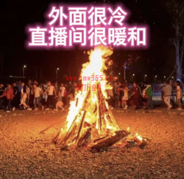 抖音暴力撸音浪玩法，小白都可以操作的正规的玩法-偏门行业网