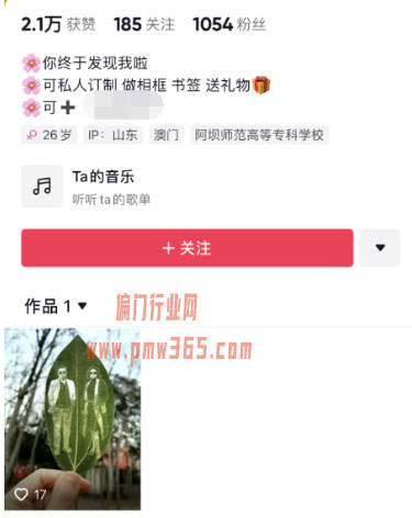 一片树叶带来项目生意具体玩法-偏门行业网