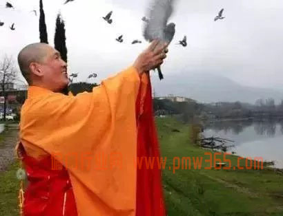 放生善举产生的灰色偏门暴利-偏门行业网