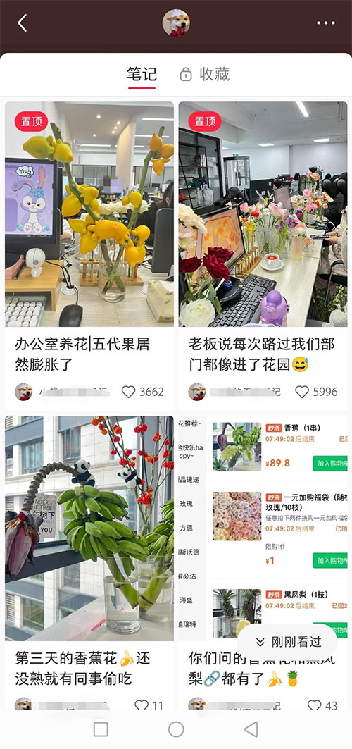 小红书导流快团团卖货实操案例-偏门行业网