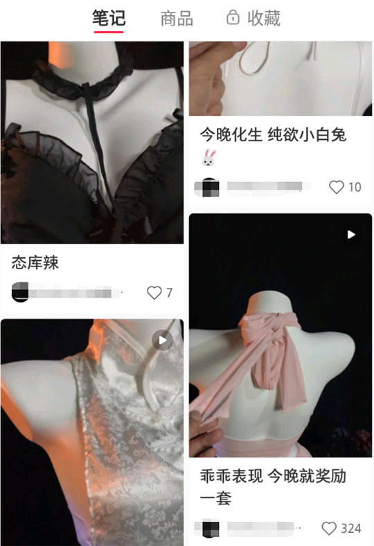 小红书情趣NY无货源暴利项目-偏门行业网