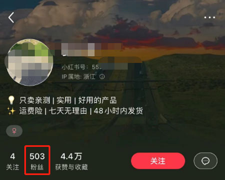 小红书项目案例！每天随便拍拍赚3W-偏门行业网