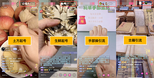 国学知识不出镜的直播项目，日引流200+-偏门行业网