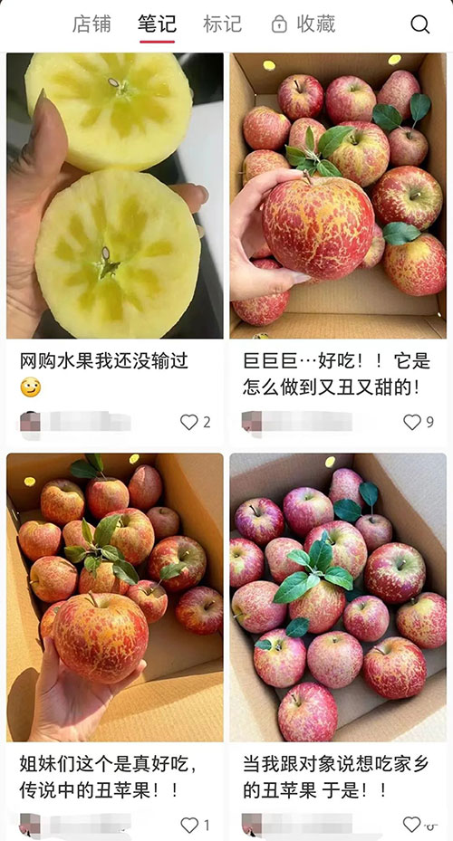 1万粉丝销量4万多单小红书赚钱案例-偏门行业网